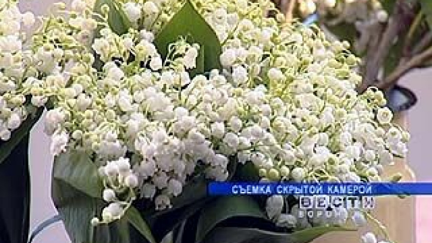 "Cлезы Божьей Матери" стали предметом наживы в Воронеже