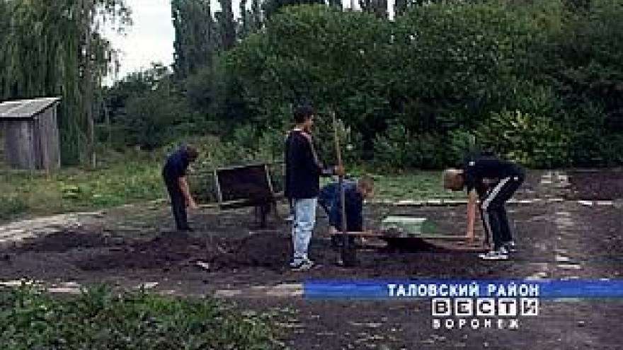 В Таловском районе гибнет коллекция ценных растений