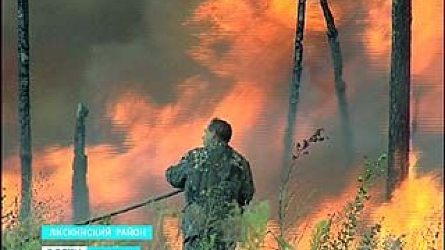 Троицкое днём погрузилось в ночь. Пожарные боролись с лесным пожаром в Лискинском районе