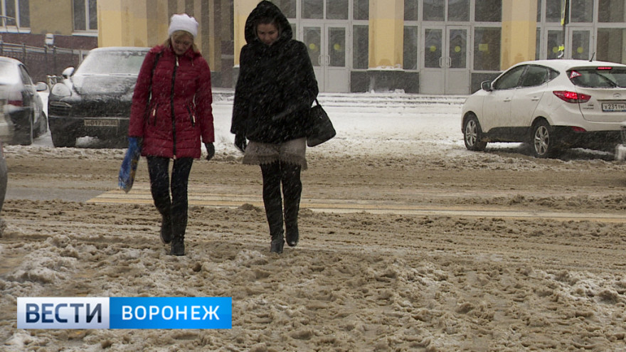 Прокуратура указала на некачественную уборку снега в Воронеже