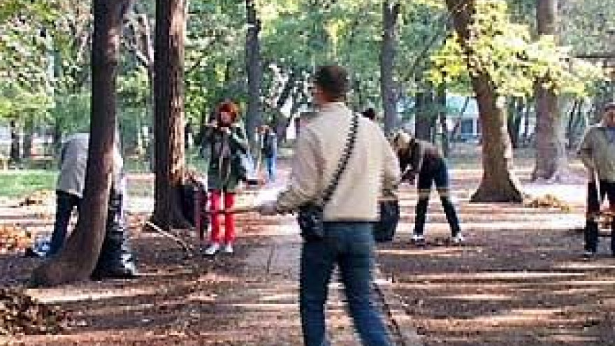 Общегородские субботники не вызывают доверия у воронежцев