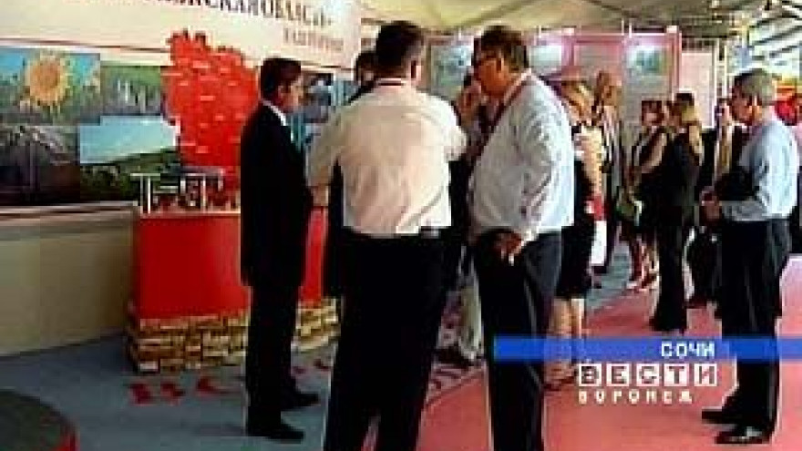 Воронежская область представила свой проект на форуме в Сочи