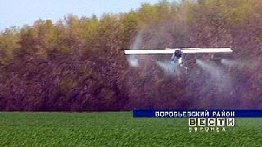 В Борисоглебском районе разбился самолет, обрабатывающий поля гербицидами