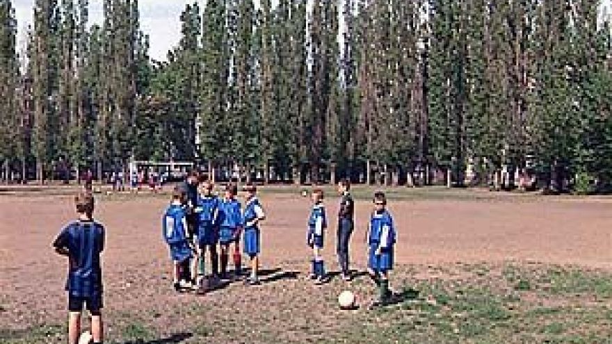 Спортивная игра в Борисоглебске обернулась трагедией