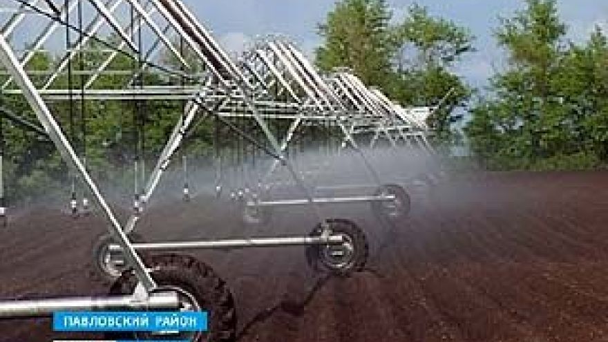 Некоторые хозяйства возвращаются к практике искусственного орошения