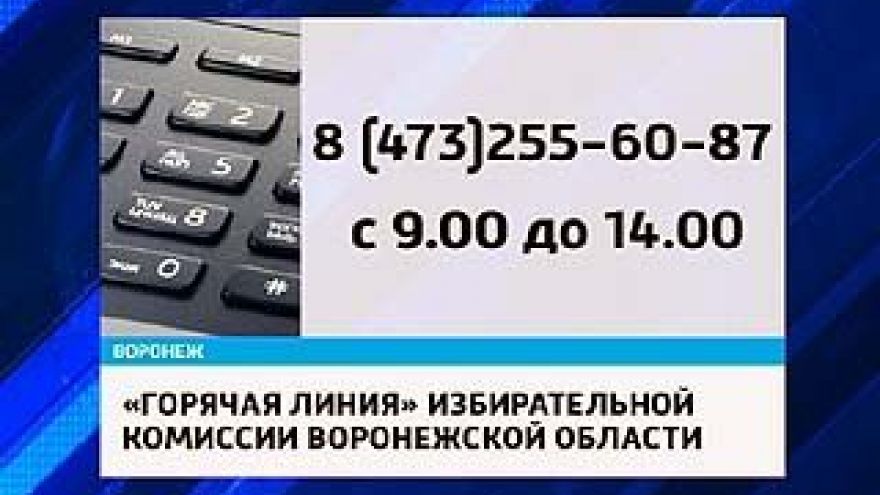 В Воронеже работает "горячая линия" по вопросам нарушения избирательного законодательства