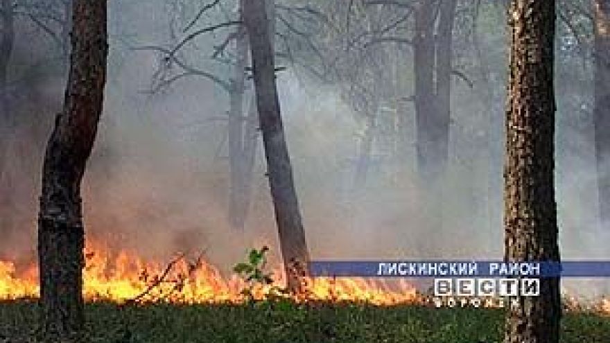 На полях и в лесных массивах возможны возгорания