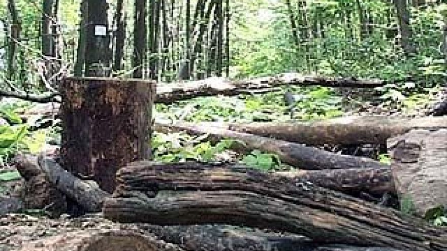 Мешает ли памятник археологии строительству водозабора, определит экспертиза
