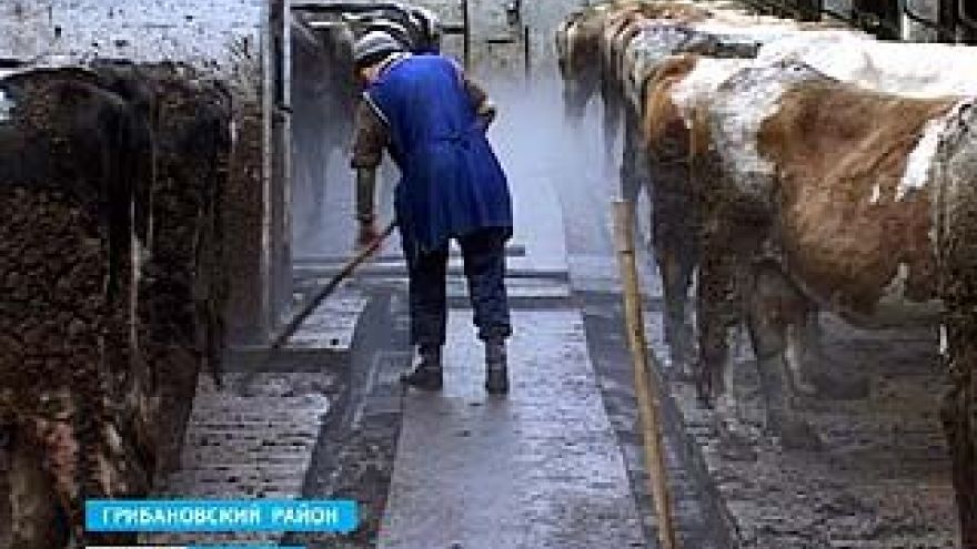 Вокруг бывшего колхоза под названием "Россия" разгорелся скандал