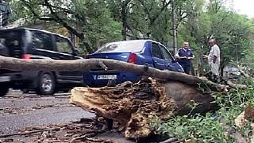 На пересечении улиц Бахметьева и Пирогова на машину рухнуло дерево