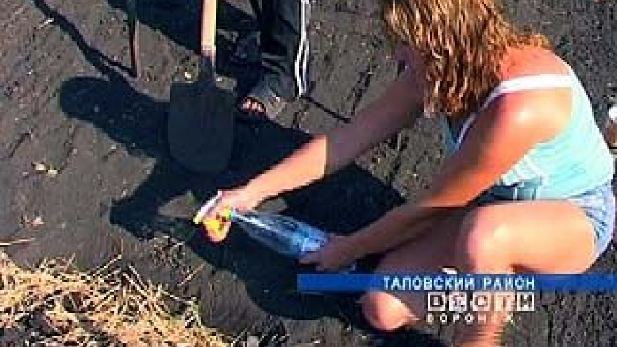Скоро на воронежских полях перестанут жечь стерню