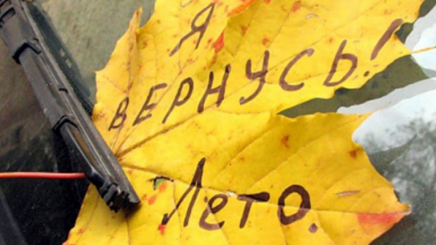 Синоптики: Воронежцев ожидают «хмурые» выходные