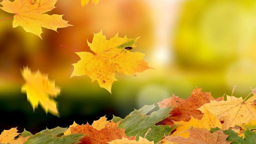 Прогноз погоды на 02.10.16