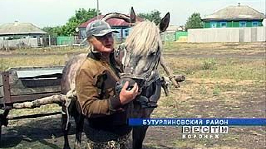 В Карайчевке лишь один почтальон обеспечен транспортом