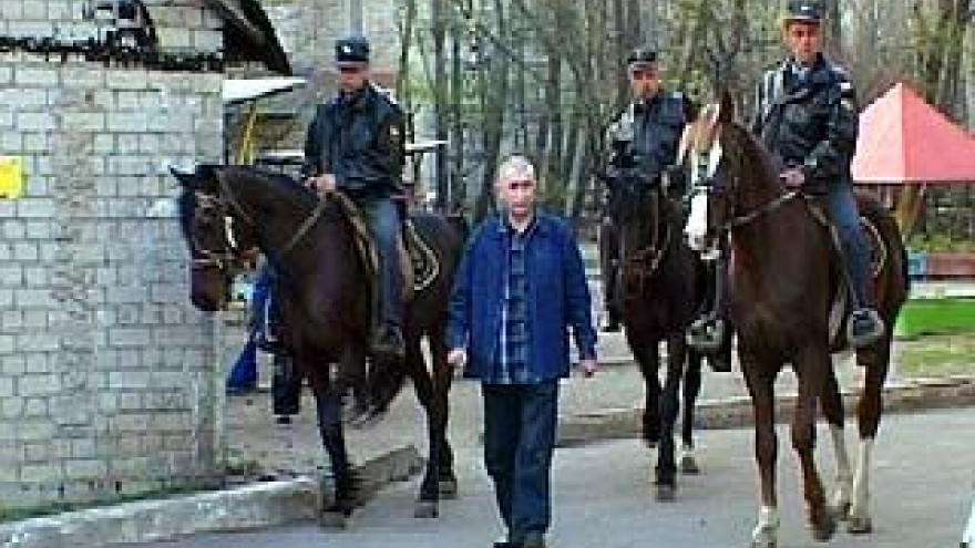 Конный дозор патрулирует улицы Воронежа