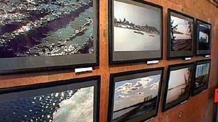 Выставка фотографа Александра Нечаева открылась в Воронеже