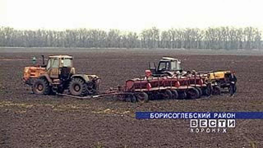 Ранними яровыми засеяно более 90% площадей