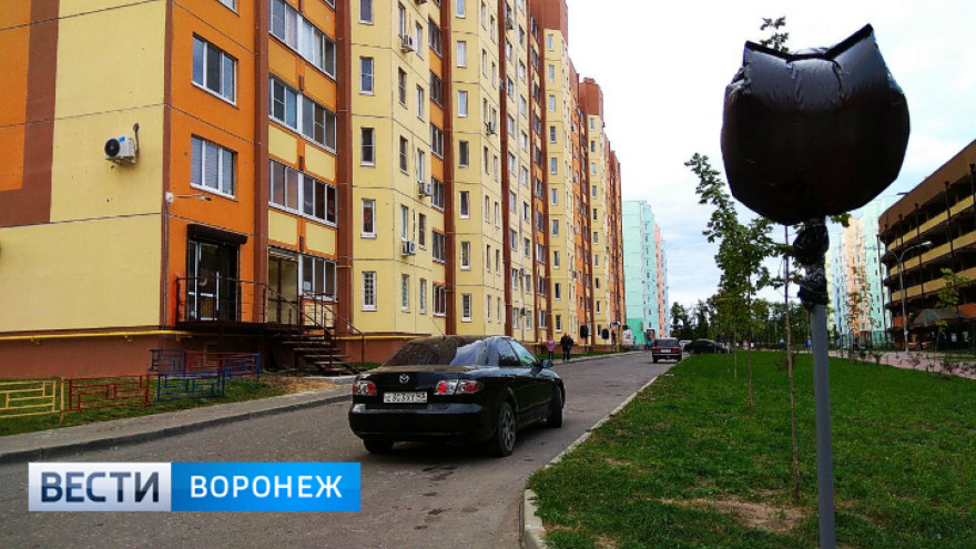 1:0 в пользу воронежцев. ДСК уберёт запрещающие парковку знаки во дворах ЖК