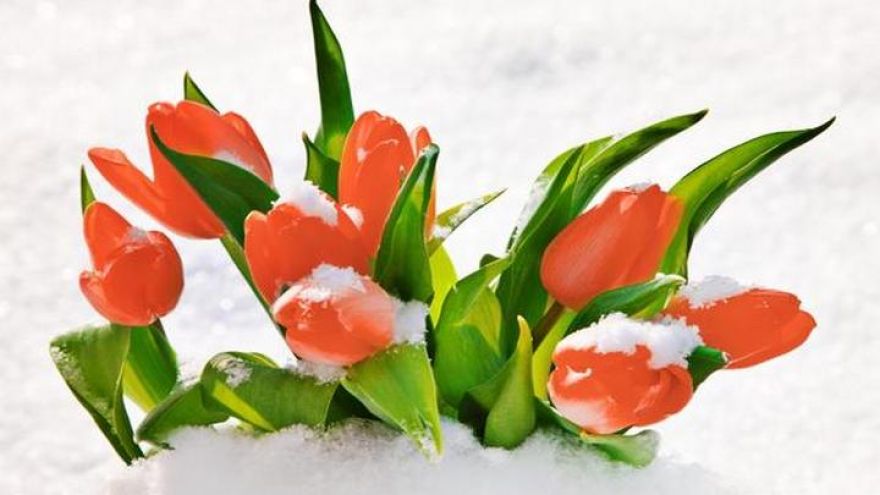Прогноз погоды на 9.03.18