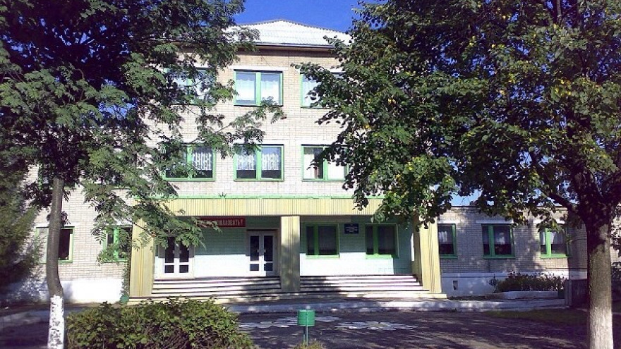 В Воронежской области 8-летняя девочка умерла после удара головой в фонтане у школы