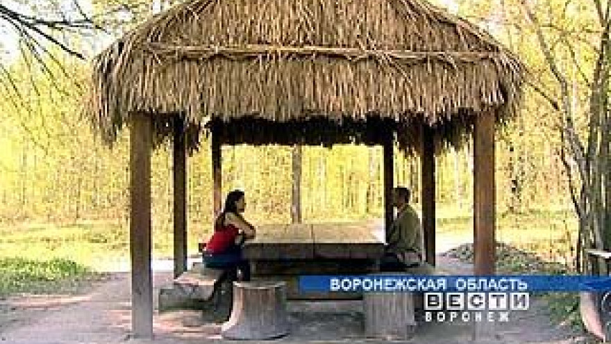 Воронежцы начинают планировать летний отдых