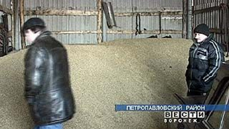 Фермеры возродили одно из крупнейших хозяйств Петропавловского района