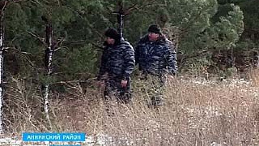 Жители села Большие Ясырки Аннинского района вышли на охрану елок