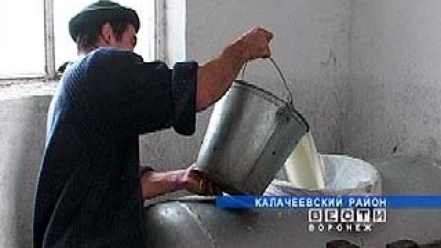 Калачеевский сыр в город Калач поставляют из Воронежа