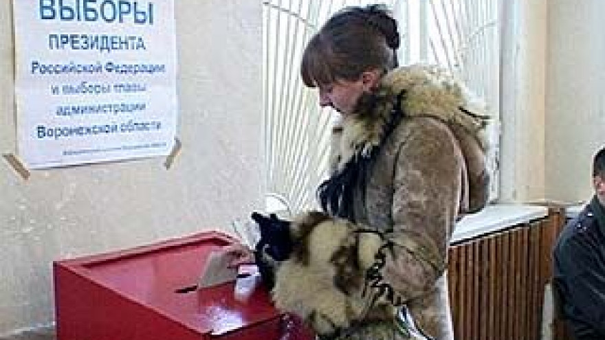 Активность борисоглебских избирателей не ниже чем в прошлые выборы