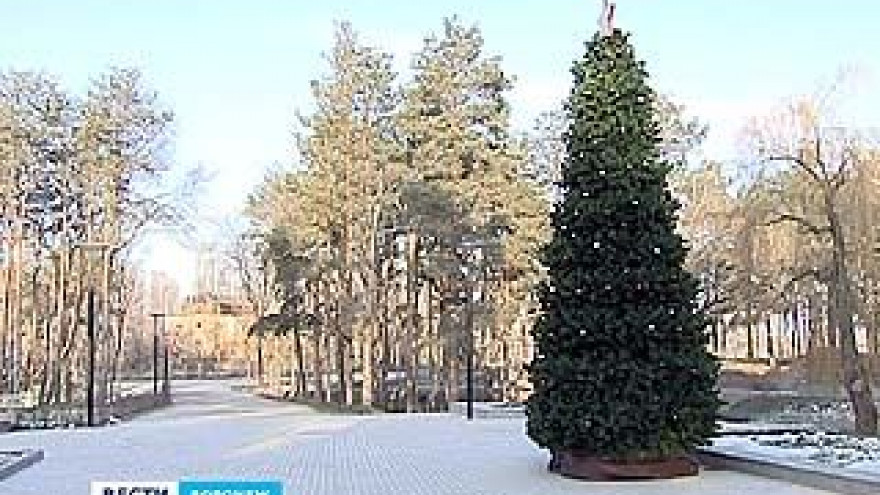 Международные экологи присвоили Воронежу награду