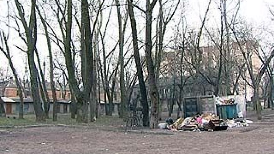 Когда наконец в Воронеже будет чисто?