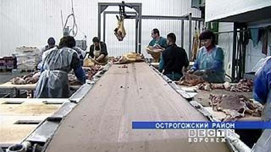 В области проведена проверка на соблюдение миграционного законодательства