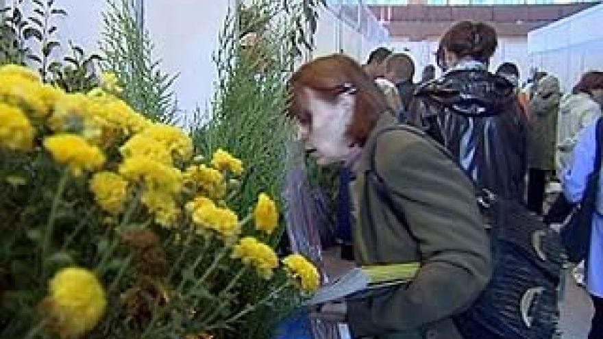 В Воронеже открылась традиционная выставка-ярмарка "Усадьба"