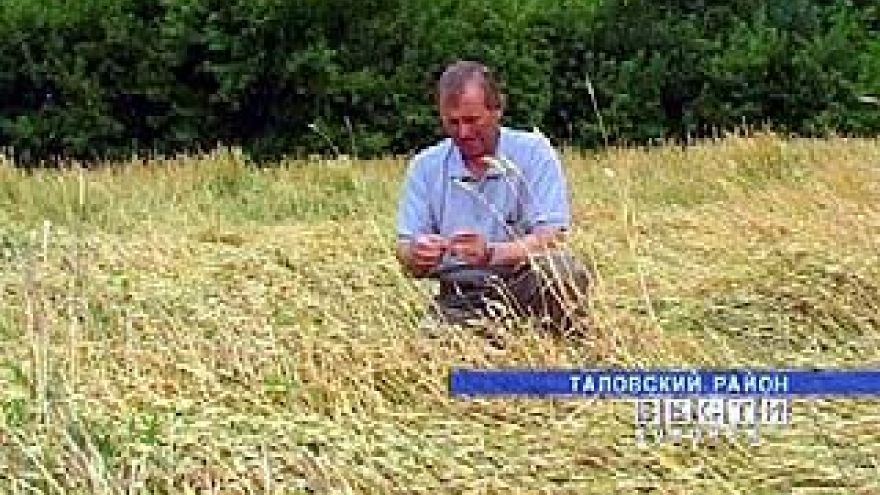 Хозяйства, пострадавшие от засухи, получат льготное топливо и кредиты