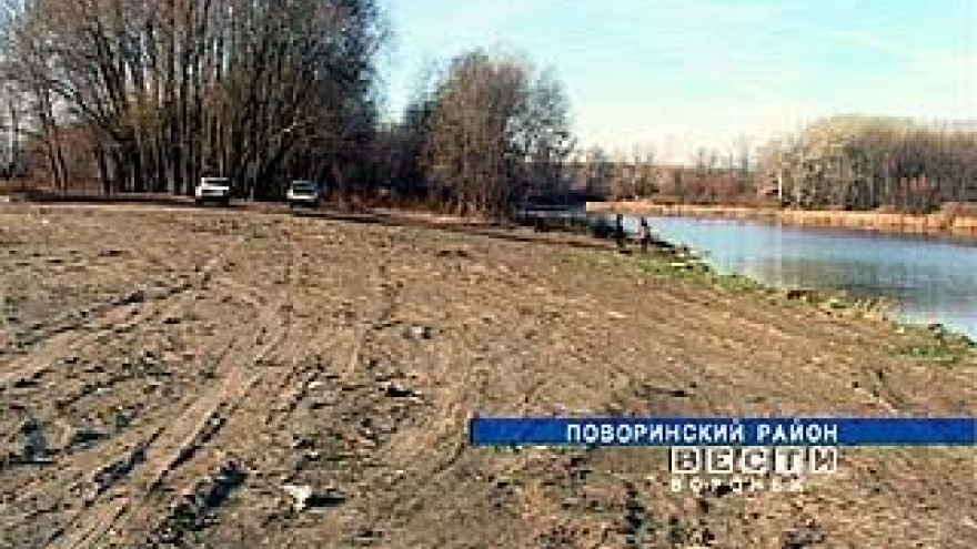 В живописных сёлах области незаконно уничтожаются лесные посадки