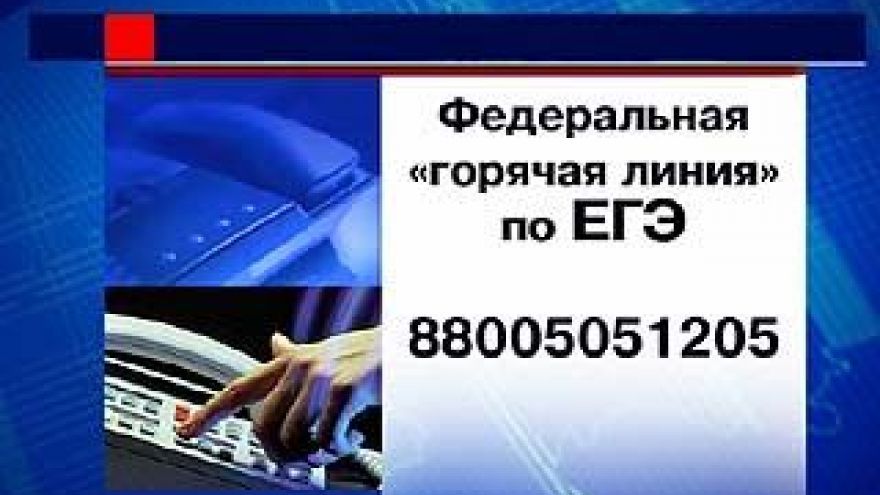 В Воронеже начинает работу "горячая" телефонная линия по процедуре ЕГЭ