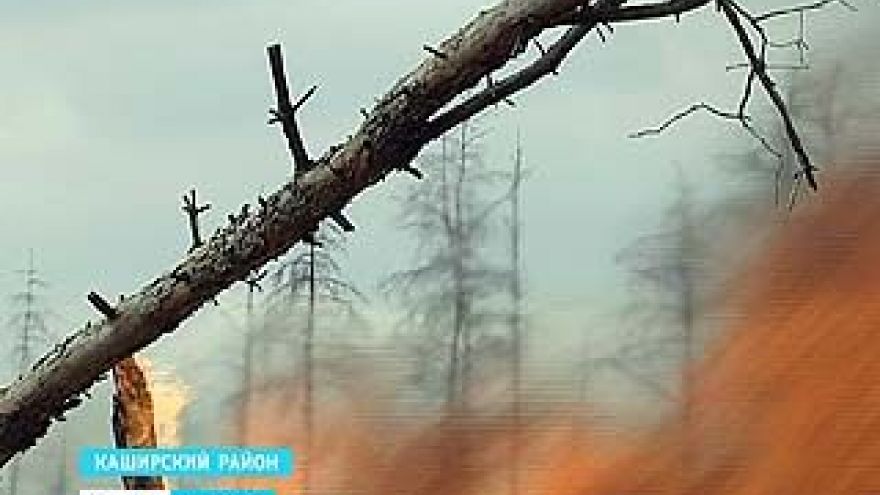 В области стартовал сезон расчистки горельников - воронежцев возмущает едкий дым и близость открытого огня