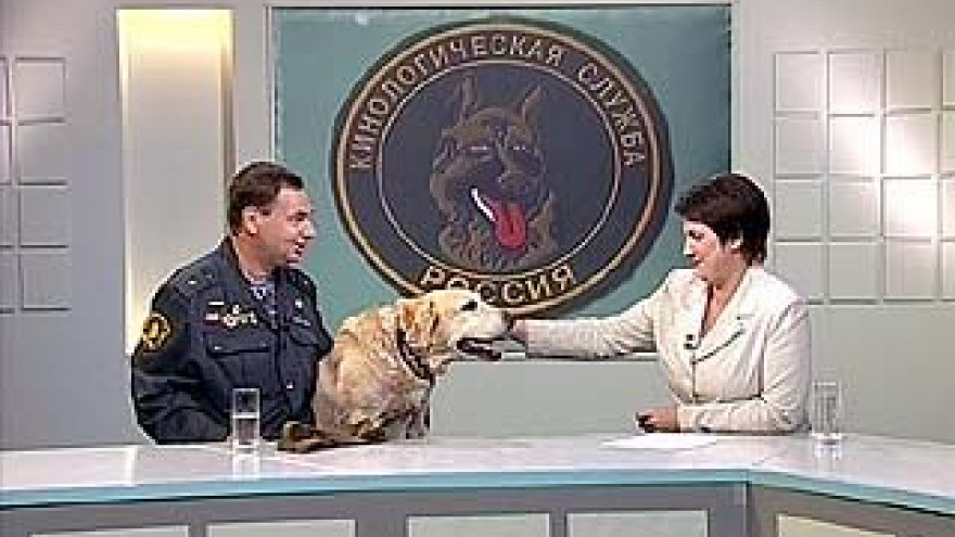 21 июня - День кинолога