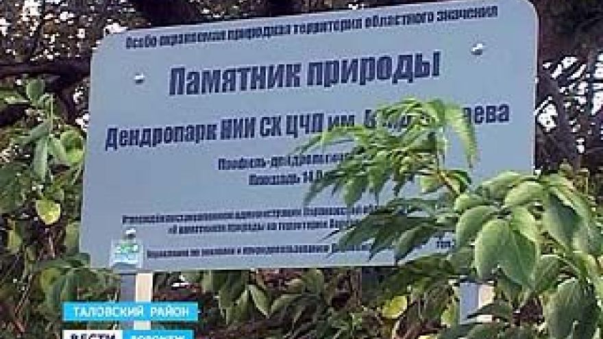 В Таловском районе вымирает уникальный арборетум Каменной степи