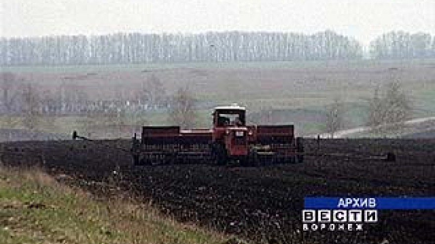 На полях Воронежской области посевная начнется заново