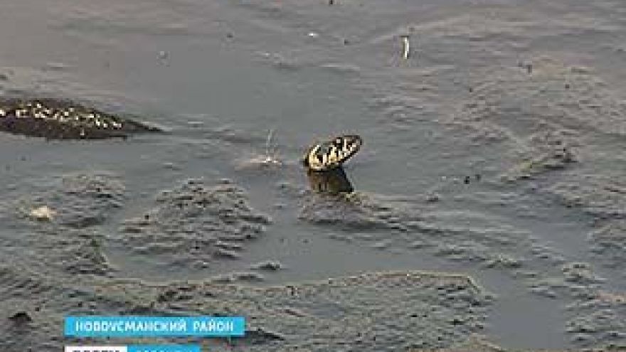 В будущем юг Воронежской области может превратиться в пустыню