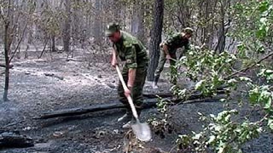 Курсанты ВВАИУ помогают спасателям в лесах под Нововоронежем