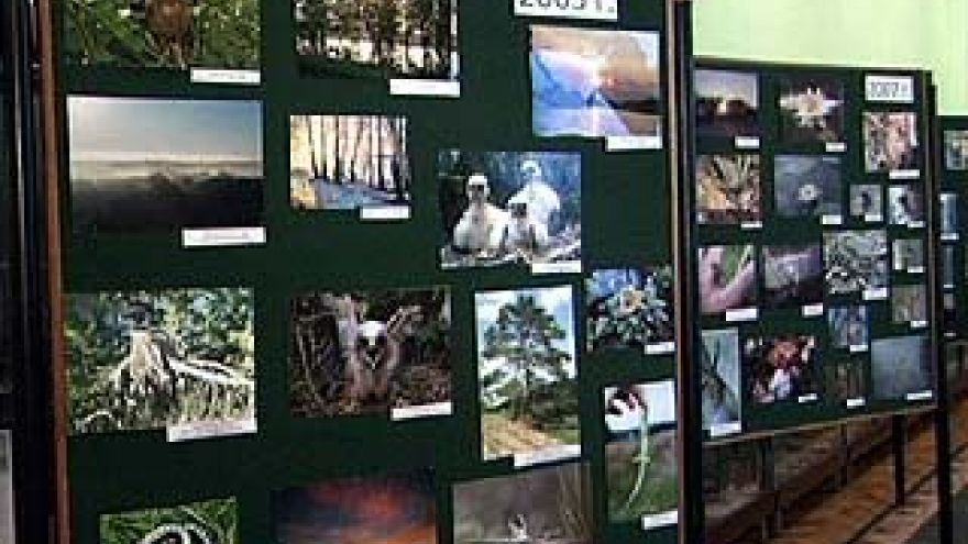 Лучшие фотографии Воронежского заповедника - в Никитинской библиотеке