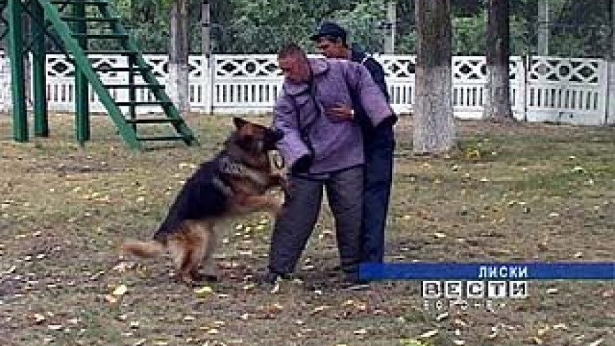 В Лисках выбрали лучшего пса в погонах