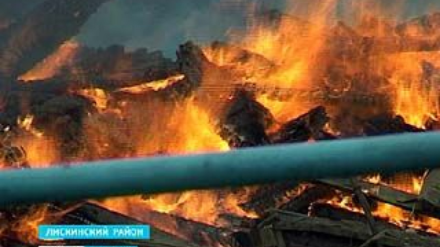 Огромный костёр разгорелся прямо в центре Лисок