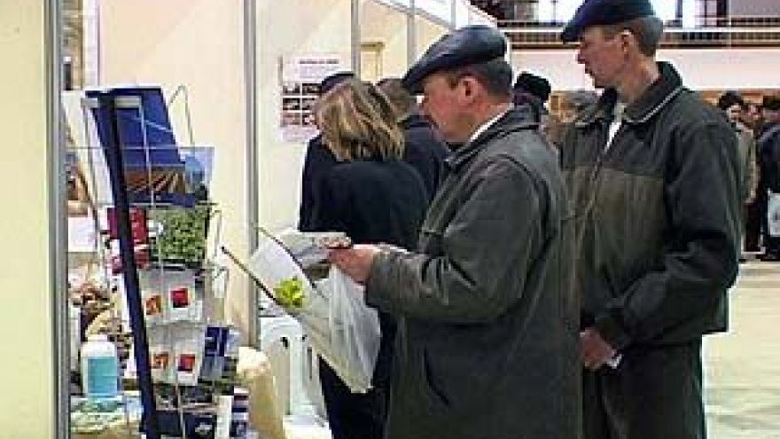 Специализированная выставка-ярмарка работает в Воронеже