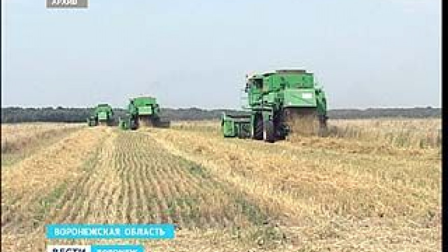 В отношении одного из крупных сельхозпроизводителей возбуждено уголовное дело