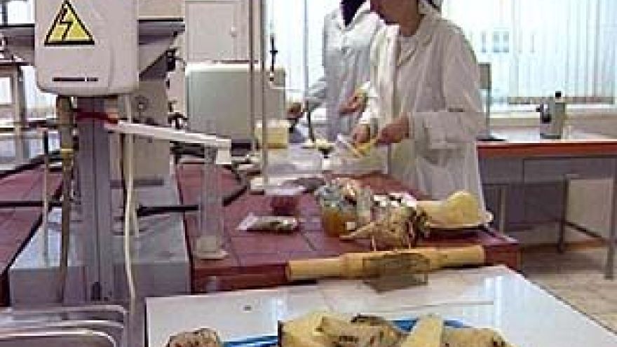В Воронежской области выявлены новые заболевания сахарной свеклы