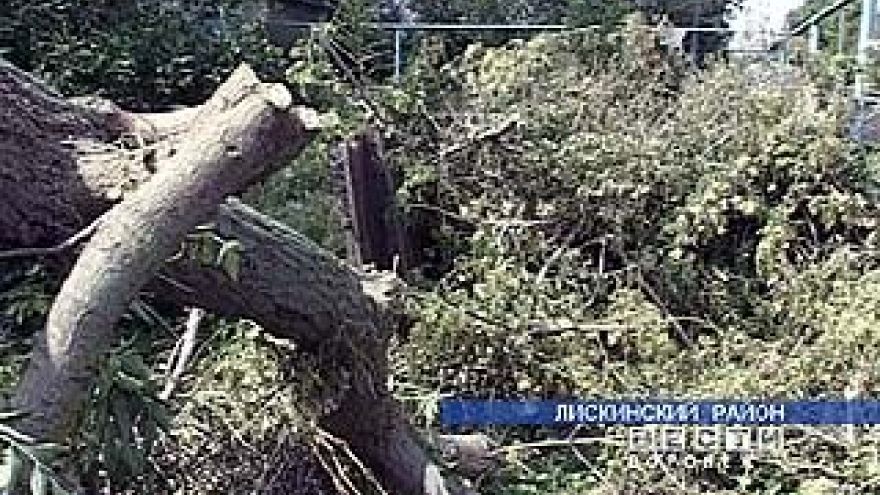 В семи районах Воронежской области ликвидируют последствия урагана