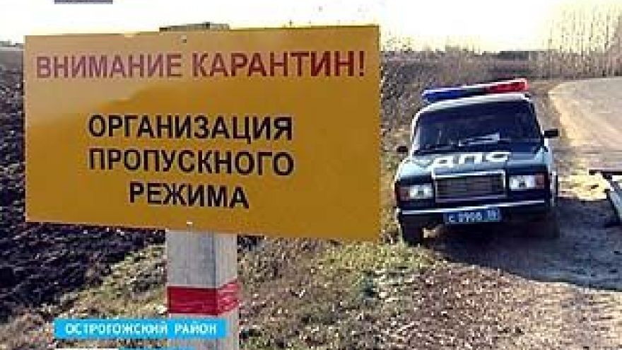 Полицейские, прокуратура и спасатели присоединятся к борьбе против АЧС